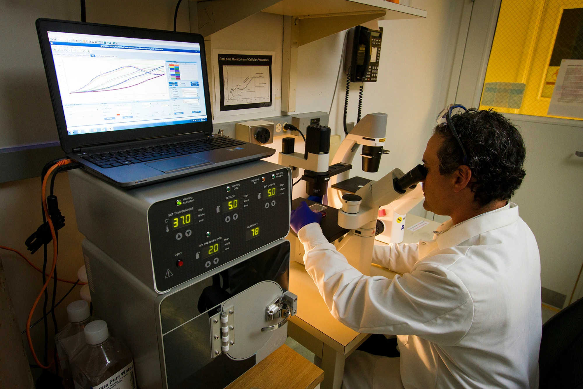 Genetic Variations, Methylation, and Gene Expression